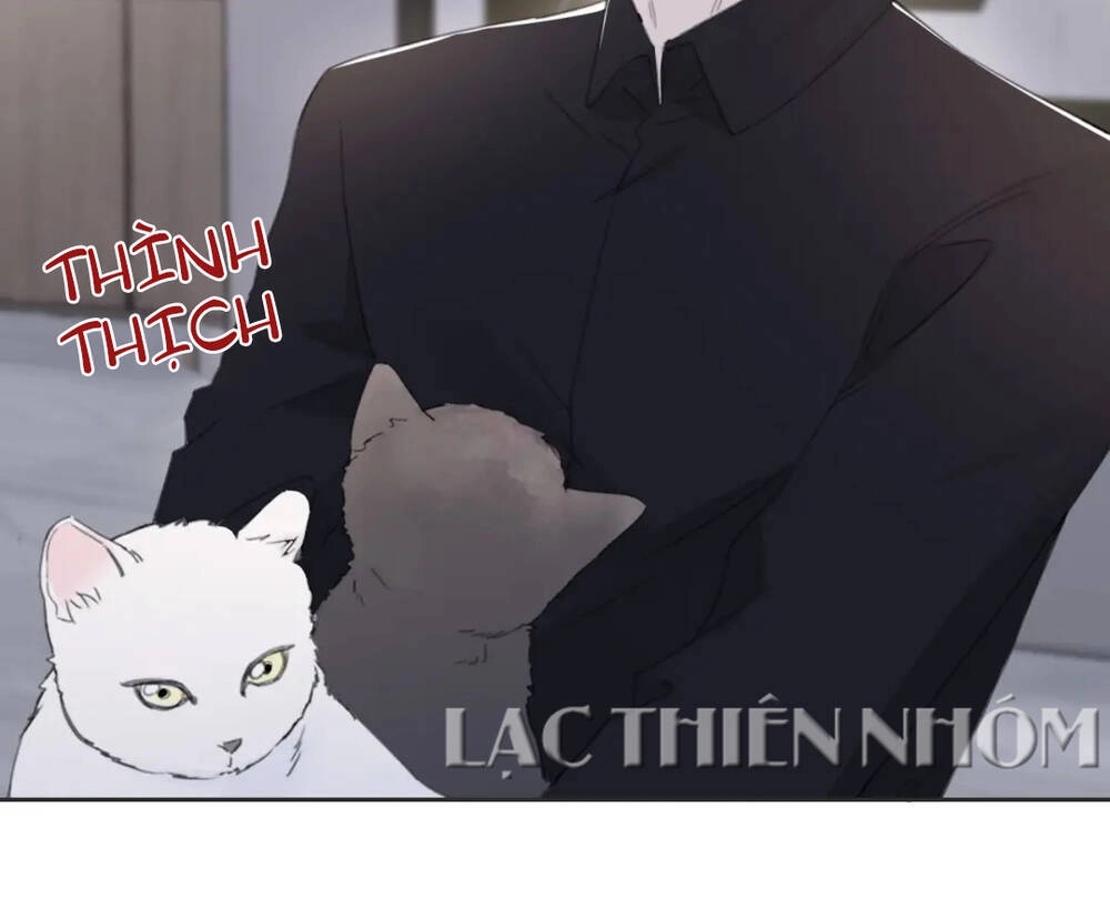 Trong Bóng Tối Chapter 41 - 16