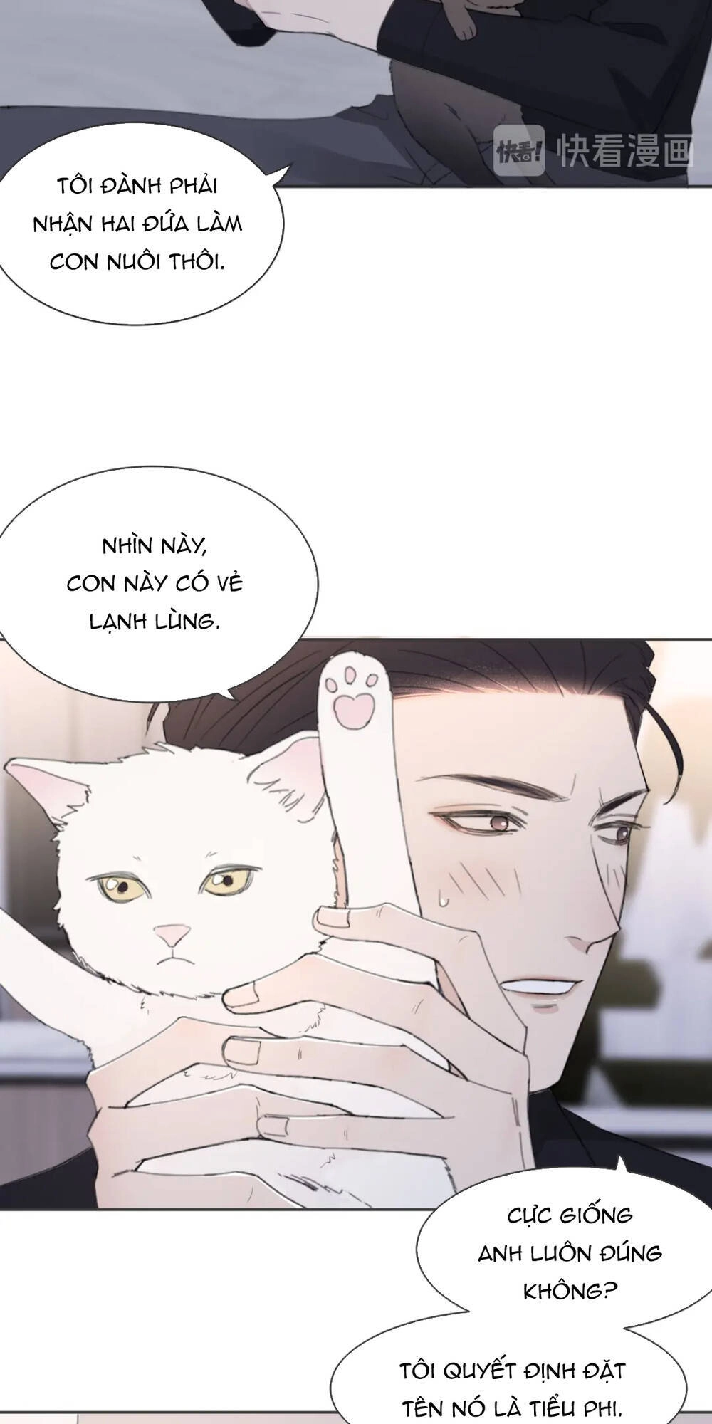 Trong Bóng Tối Chapter 41 - 19