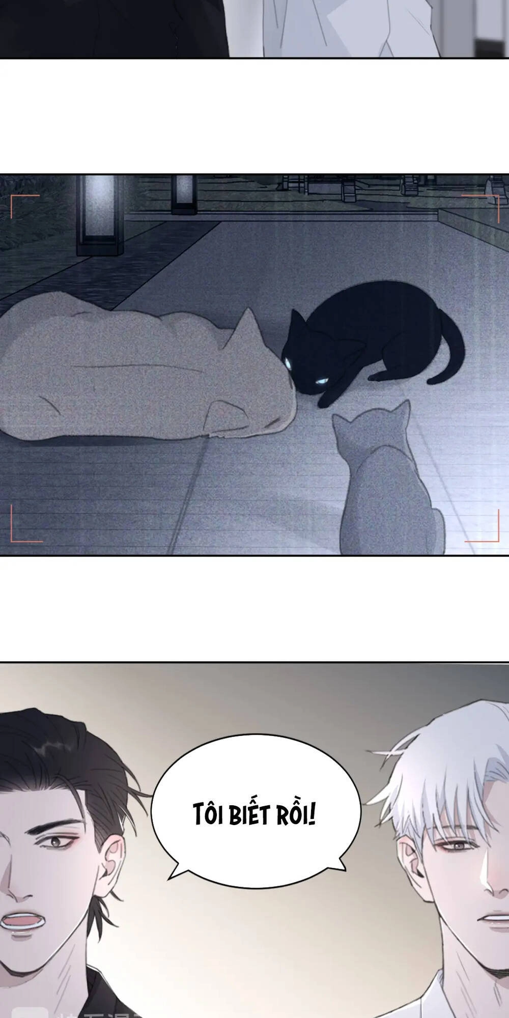 Trong Bóng Tối Chapter 44 - 13