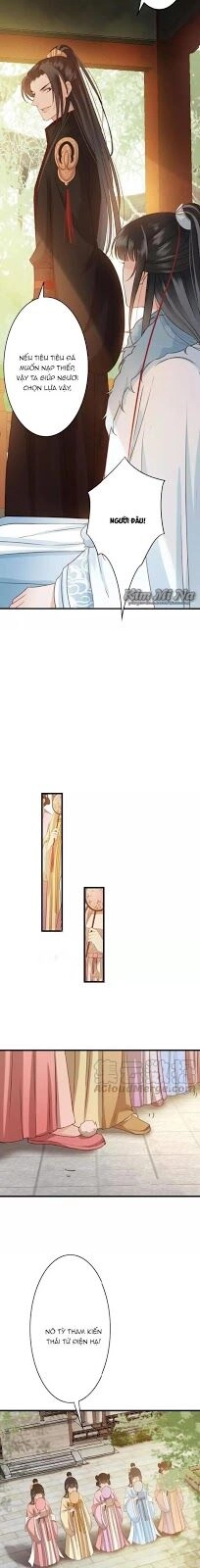 Đông Cung Giai Hạ Tù Chapter 22 - 10