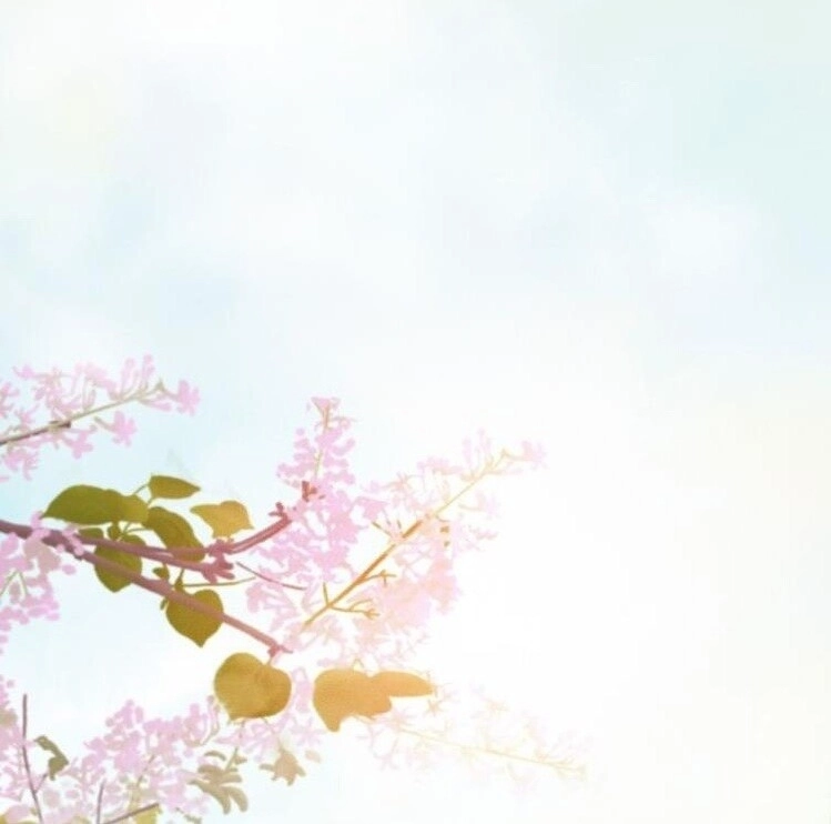 Đông Cung Giai Hạ Tù Chapter 47 - 39