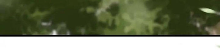 Đông Cung Giai Hạ Tù Chapter 75 - 39