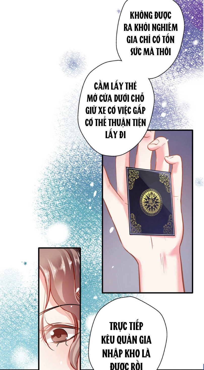 Cưng Chiều Ái Thê Hư Hỏng Chapter 15 - 17