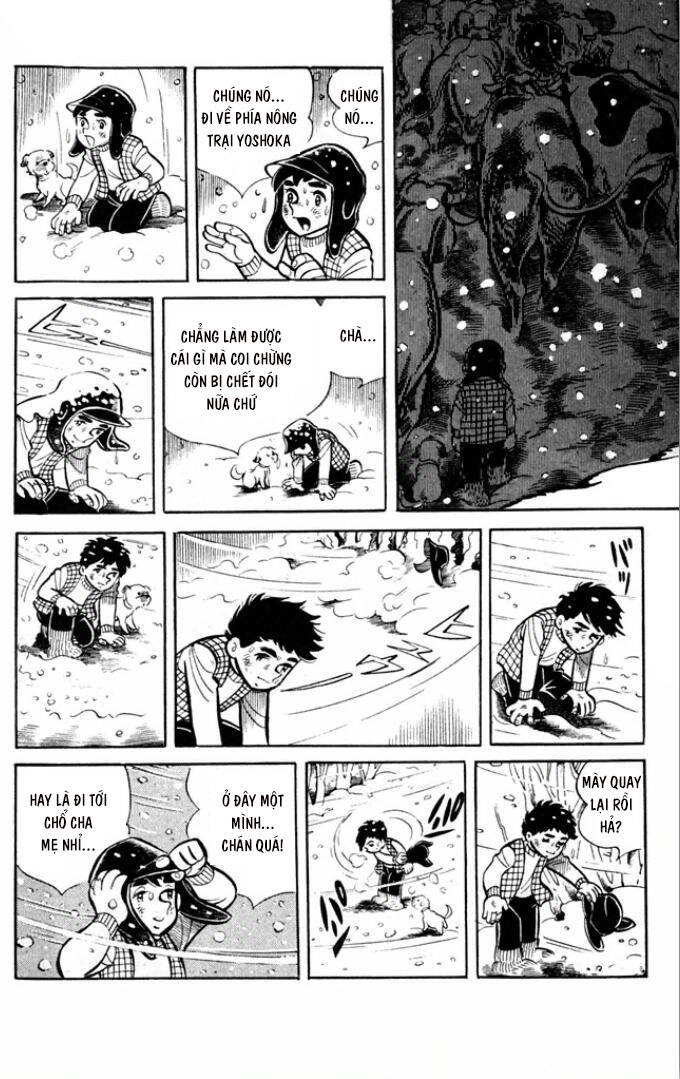 [Tuyển Tập Chiba Tetsuya] - Gaki Chapter 3 - 15