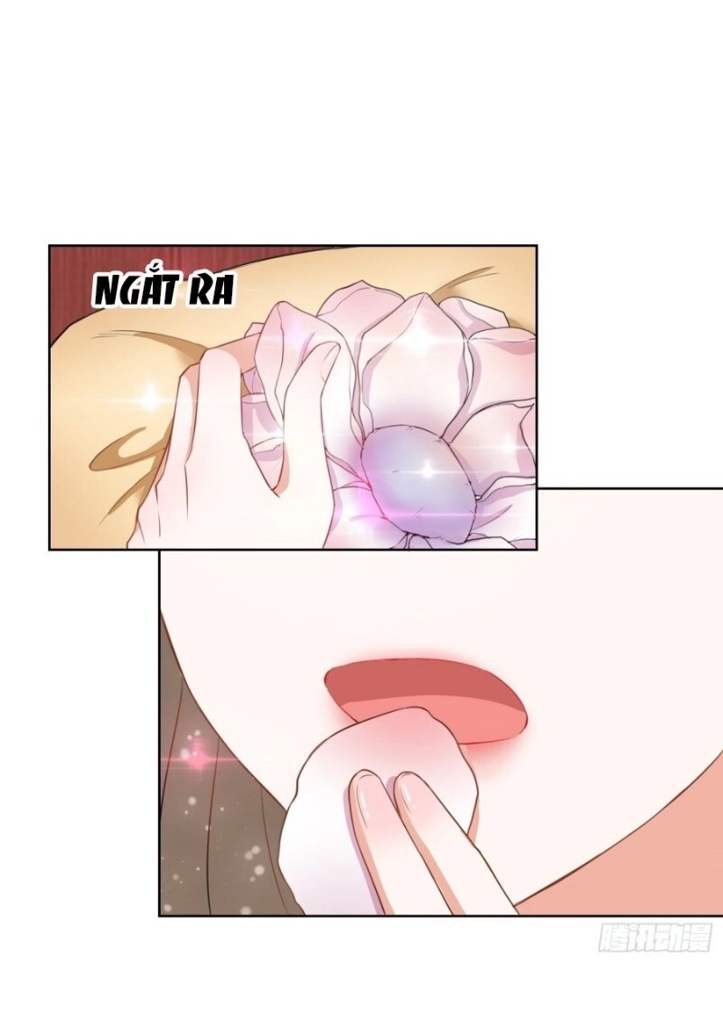 Công Lược Trưởng Thành Của Vương Phi Chapter 6 - 8