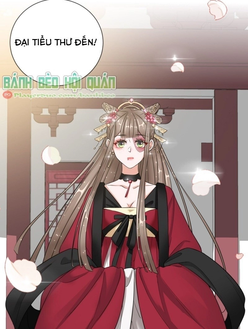 Công Lược Trưởng Thành Của Vương Phi Chapter 12 - 30