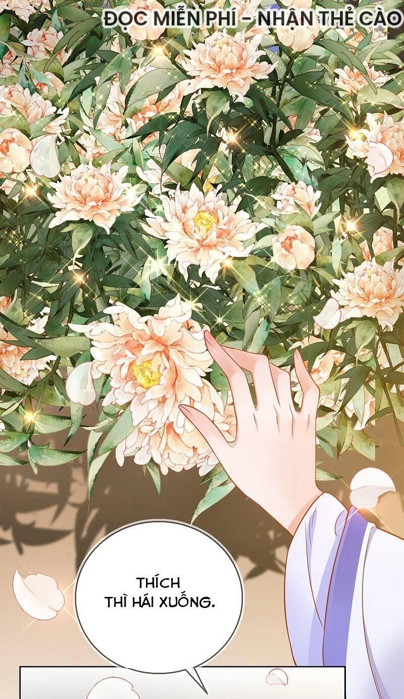 Công Lược Trưởng Thành Của Vương Phi Chapter 29 - 13