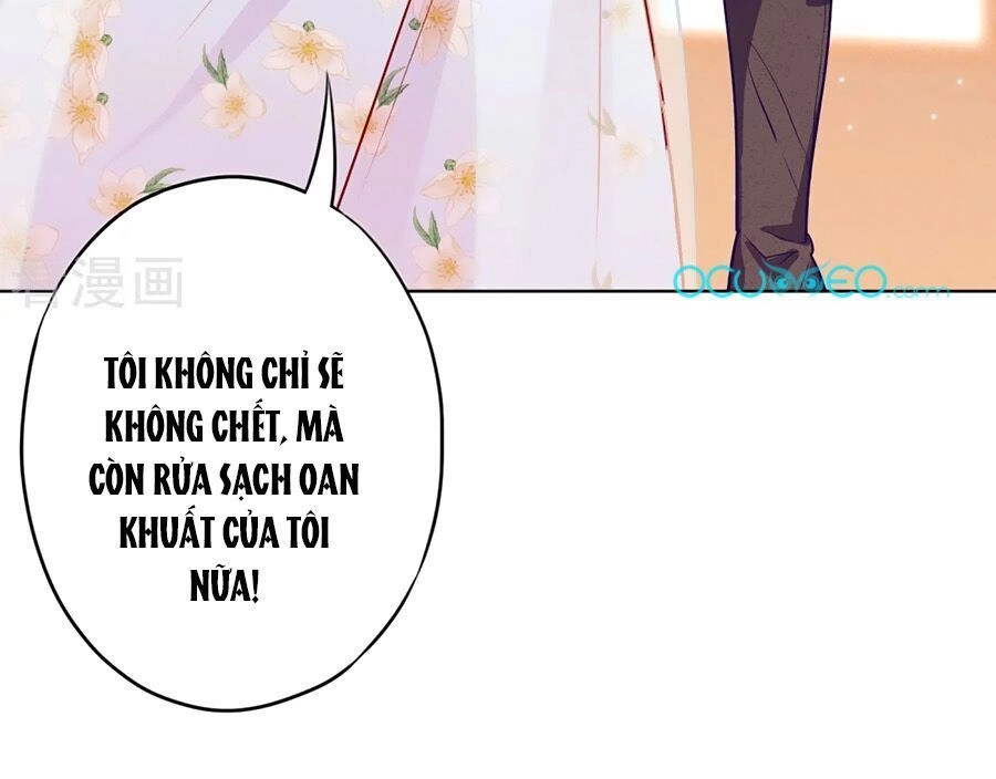 Thiếu Soái, Vợ Anh Muốn Lật Trời! Chapter 8 - 18