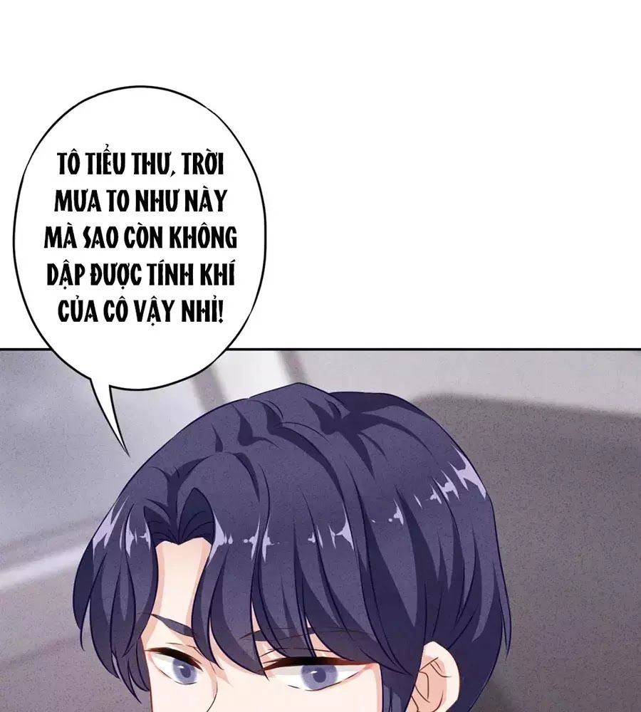 Thiếu Soái, Vợ Anh Muốn Lật Trời! Chapter 12 - 6