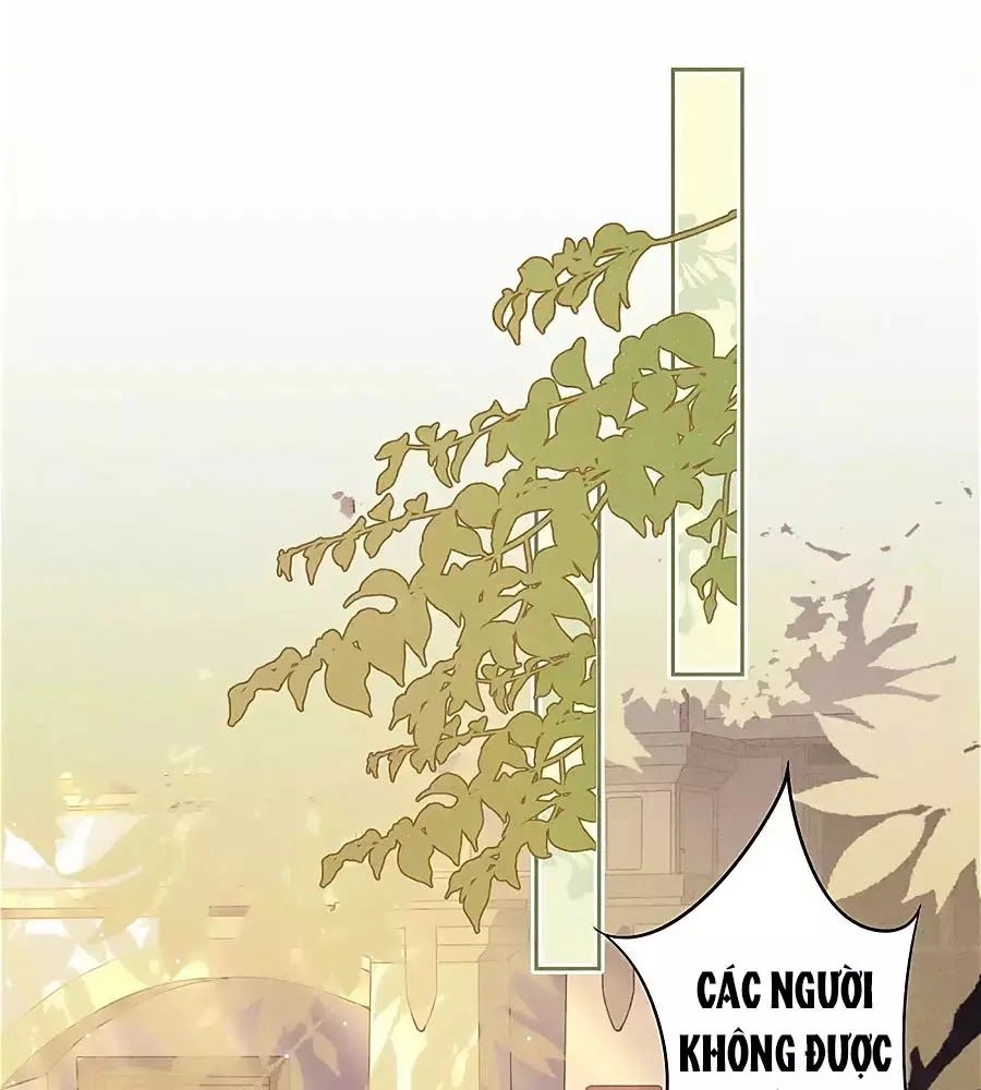 Thiếu Soái, Vợ Anh Muốn Lật Trời! Chapter 20 - 14