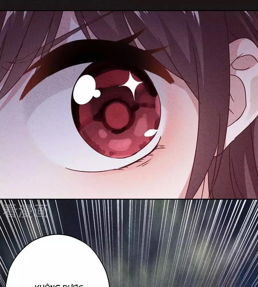 Thiếu Soái, Vợ Anh Muốn Lật Trời! Chapter 22 - 8