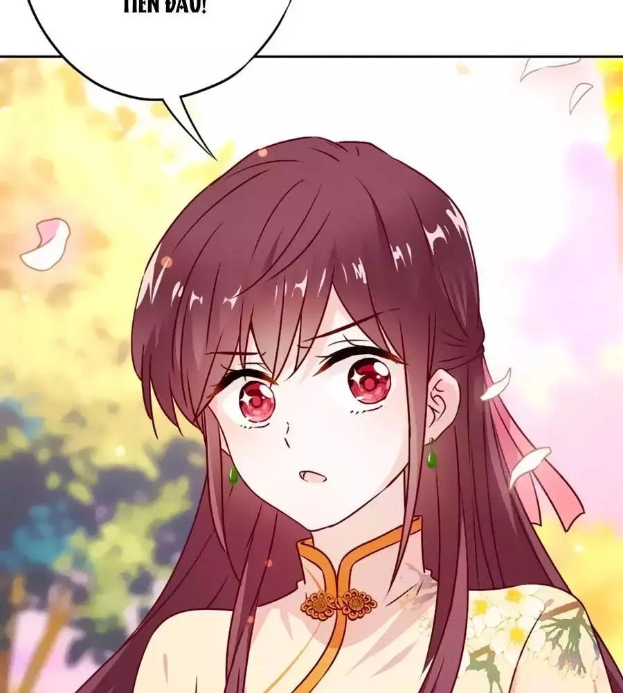 Thiếu Soái, Vợ Anh Muốn Lật Trời! Chapter 26 - 15