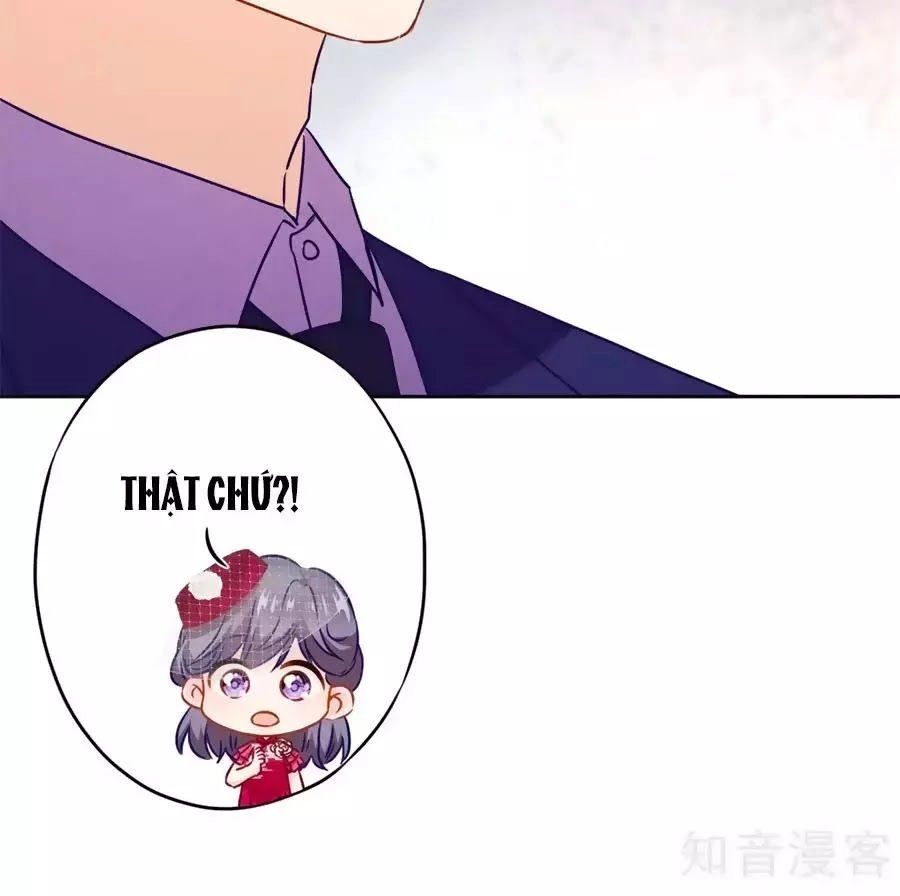 Thiếu Soái, Vợ Anh Muốn Lật Trời! Chapter 29 - 8