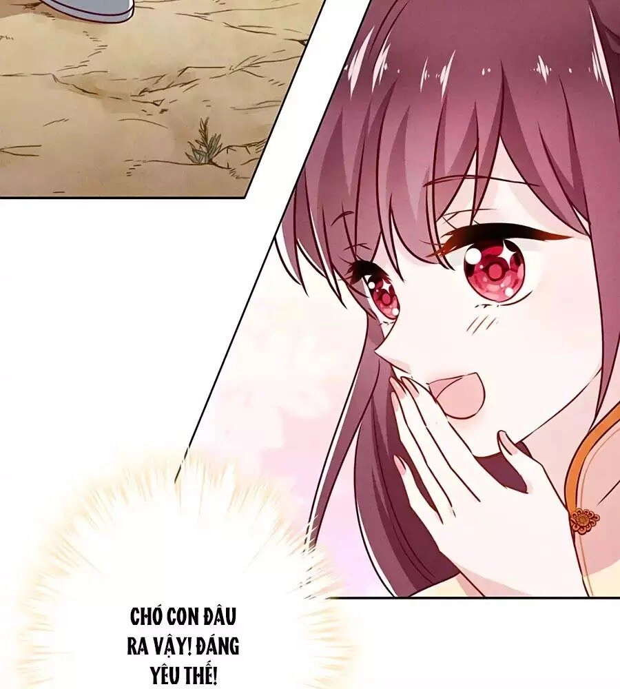 Thiếu Soái, Vợ Anh Muốn Lật Trời! Chapter 37 - 51