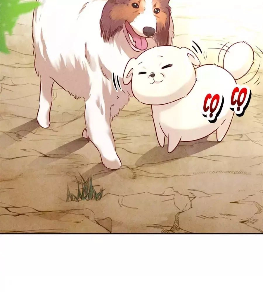 Thiếu Soái, Vợ Anh Muốn Lật Trời! Chapter 38 - 16