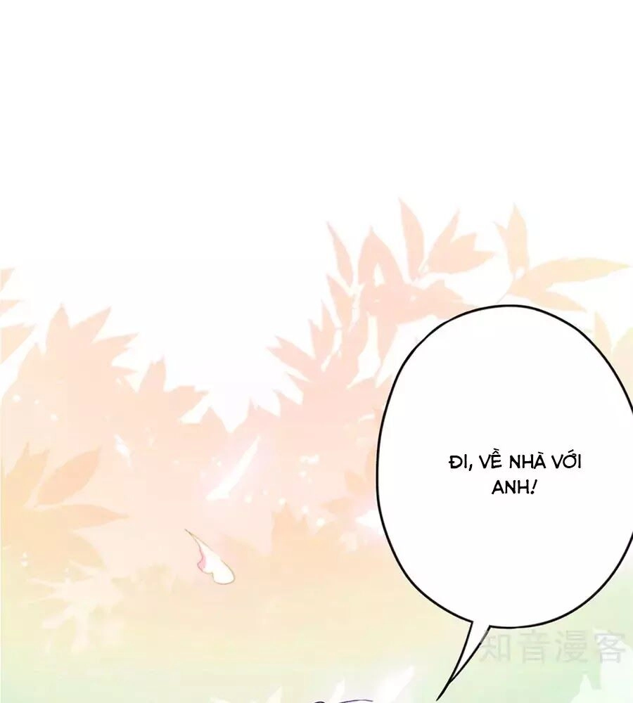 Thiếu Soái, Vợ Anh Muốn Lật Trời! Chapter 49 - 25