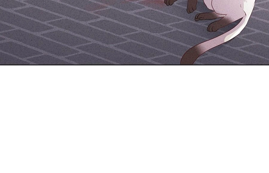 Thiếu Soái, Vợ Anh Muốn Lật Trời! Chapter 101 - 14