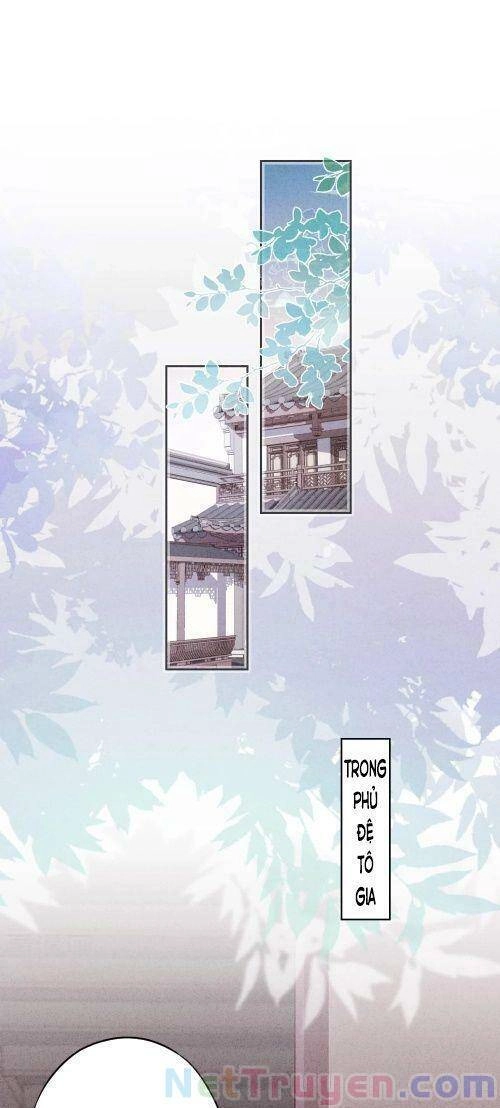 Thiếu Soái, Vợ Anh Muốn Lật Trời! Chapter 127 - 1