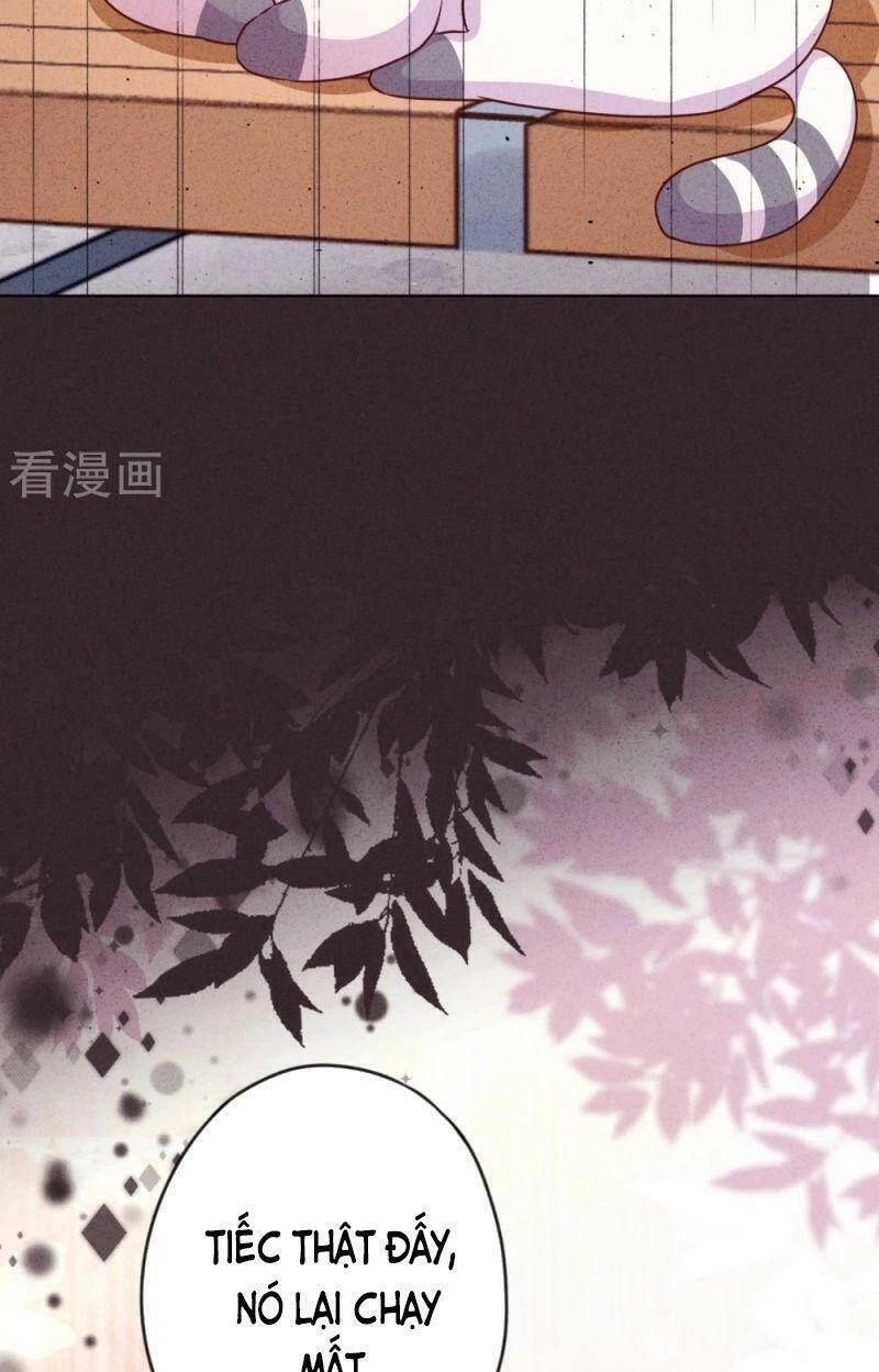 Thiếu Soái, Vợ Anh Muốn Lật Trời! Chapter 140 - 39