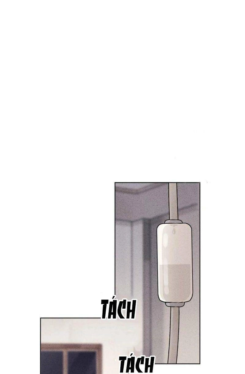 Thiếu Soái, Vợ Anh Muốn Lật Trời! Chapter 144 - 1