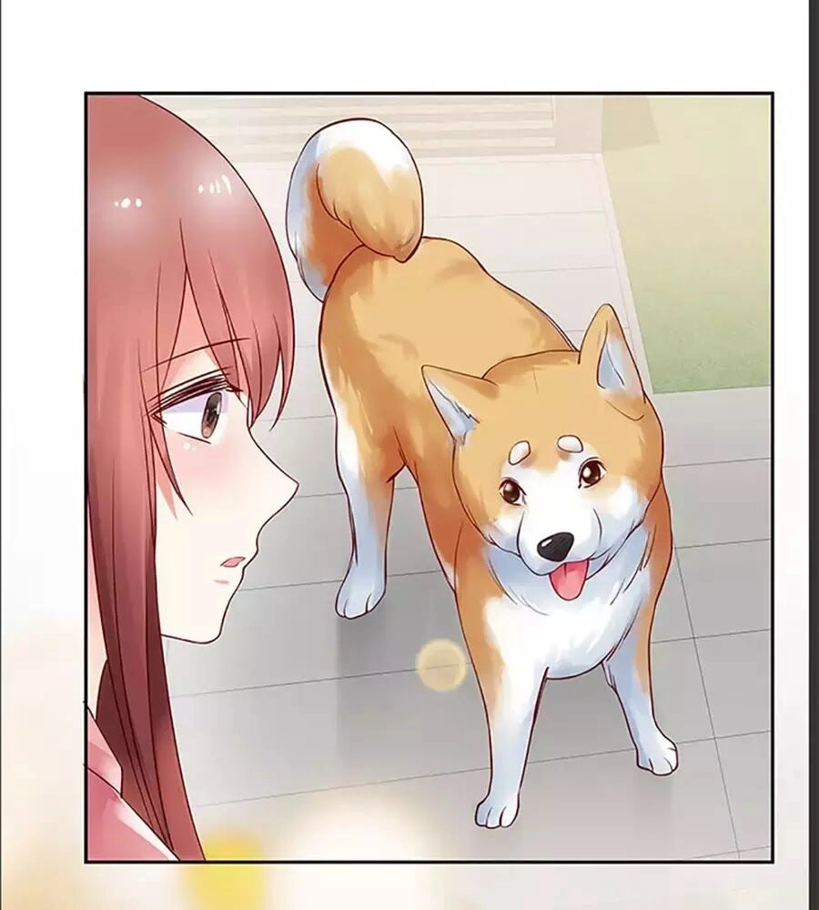 Bạn Trai 1/4 Của Tôi Chapter 10 - 147