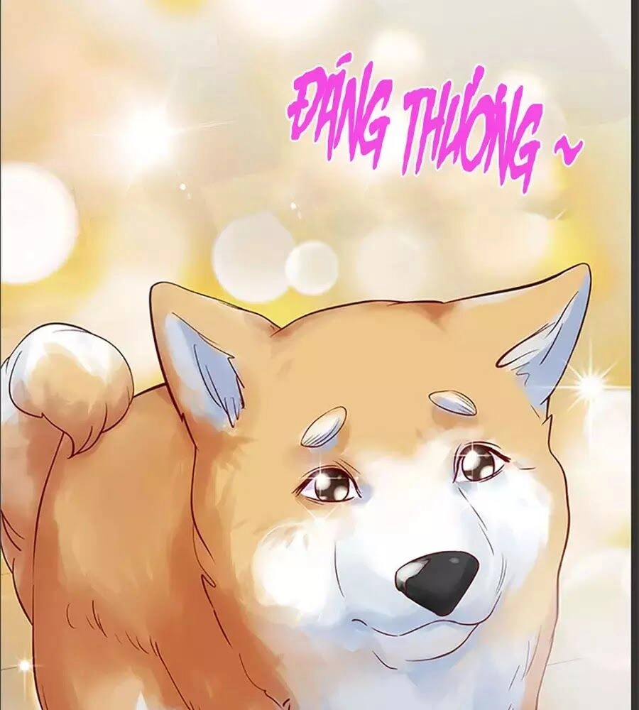 Bạn Trai 1/4 Của Tôi Chapter 10 - 148