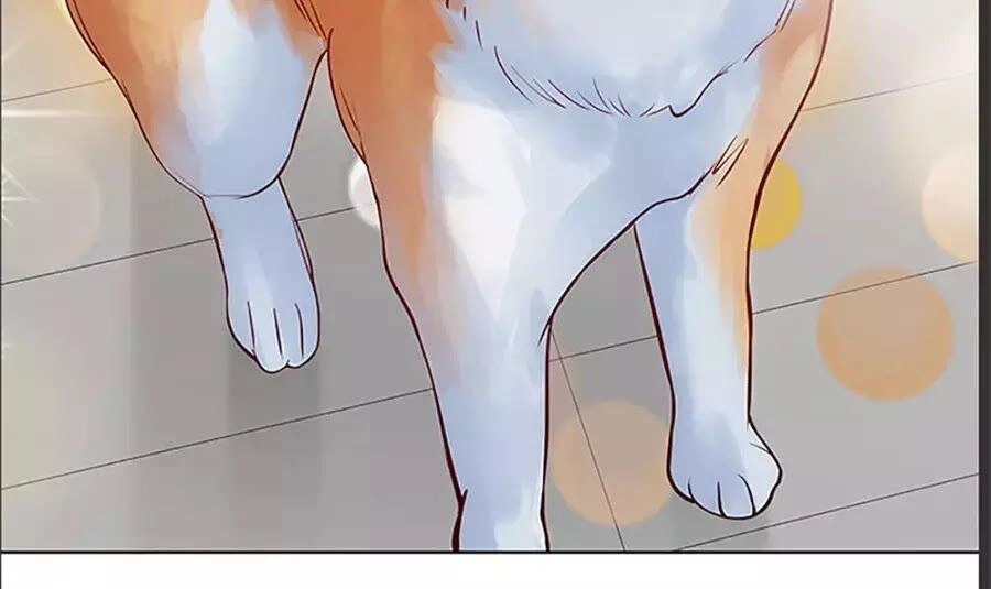 Bạn Trai 1/4 Của Tôi Chapter 10 - 149