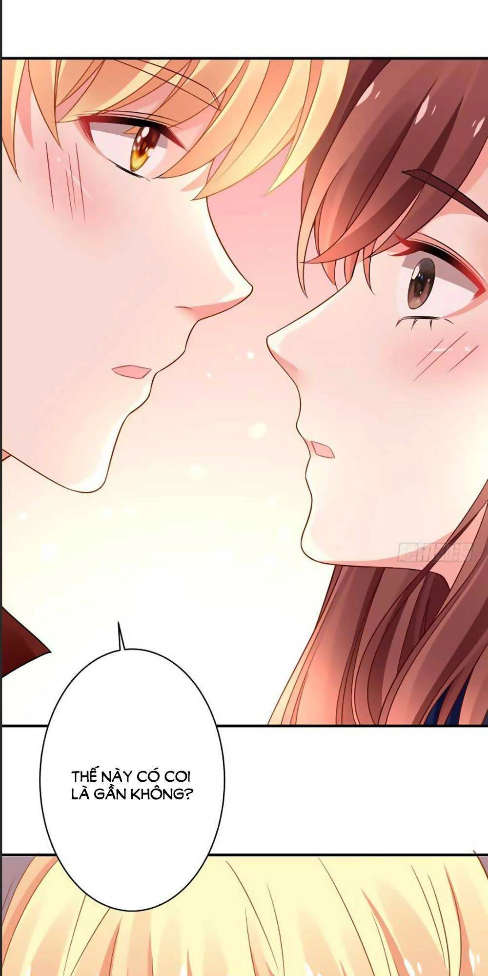 Bạn Trai 1/4 Của Tôi Chapter 41 - 48