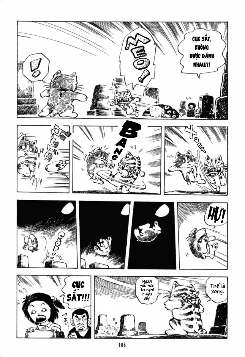 Chie - Cô Bé Hạt Tiêu Chapter 20 - 19