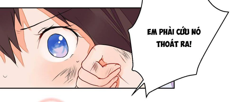 Đốt Đào Hoa Chapter 8 - 37