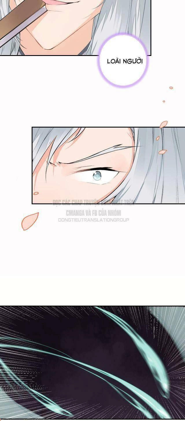 Đốt Đào Hoa Chapter 49 - 8