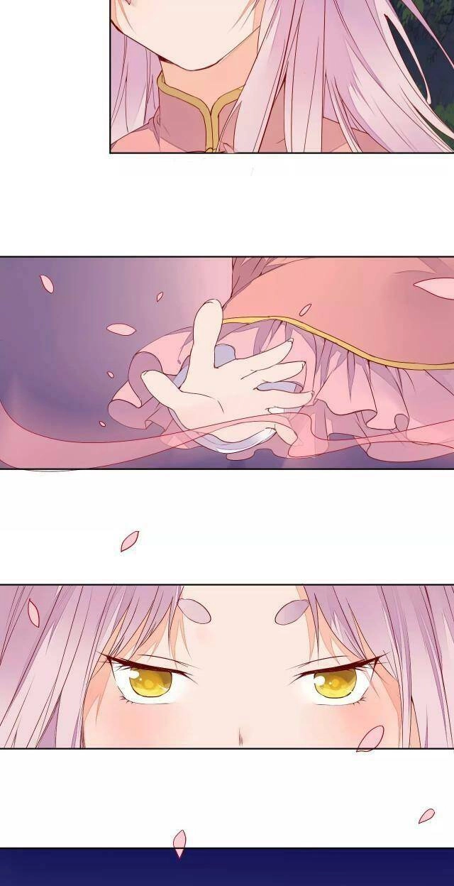 Đốt Đào Hoa Chapter 68 - 4