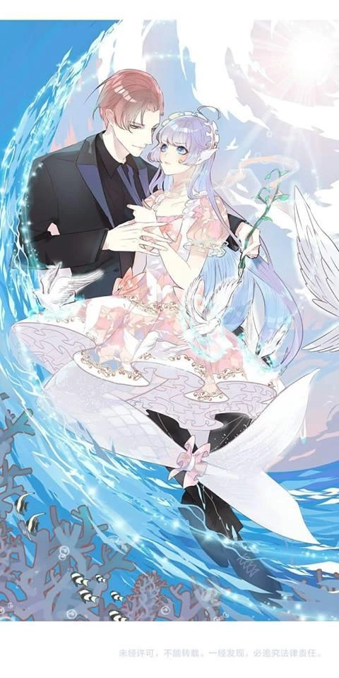 Chiếc Váy Của Người Cá Chapter 2 - 27