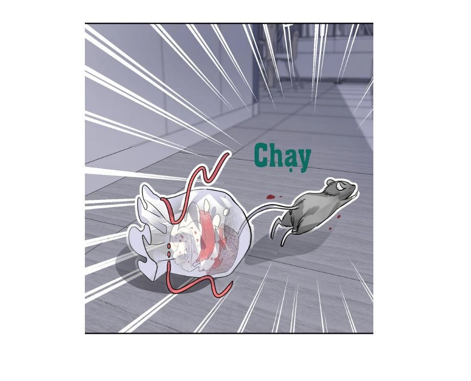 Chiếc Váy Của Người Cá Chapter 16 - 20