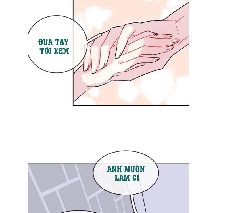 Chiếc Váy Của Người Cá Chapter 17 - 4