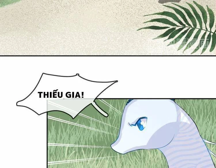 Chiếc Váy Của Người Cá Chapter 27 - 13