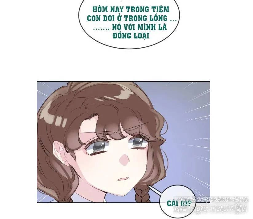 Chiếc Váy Của Người Cá Chapter 40 - 21