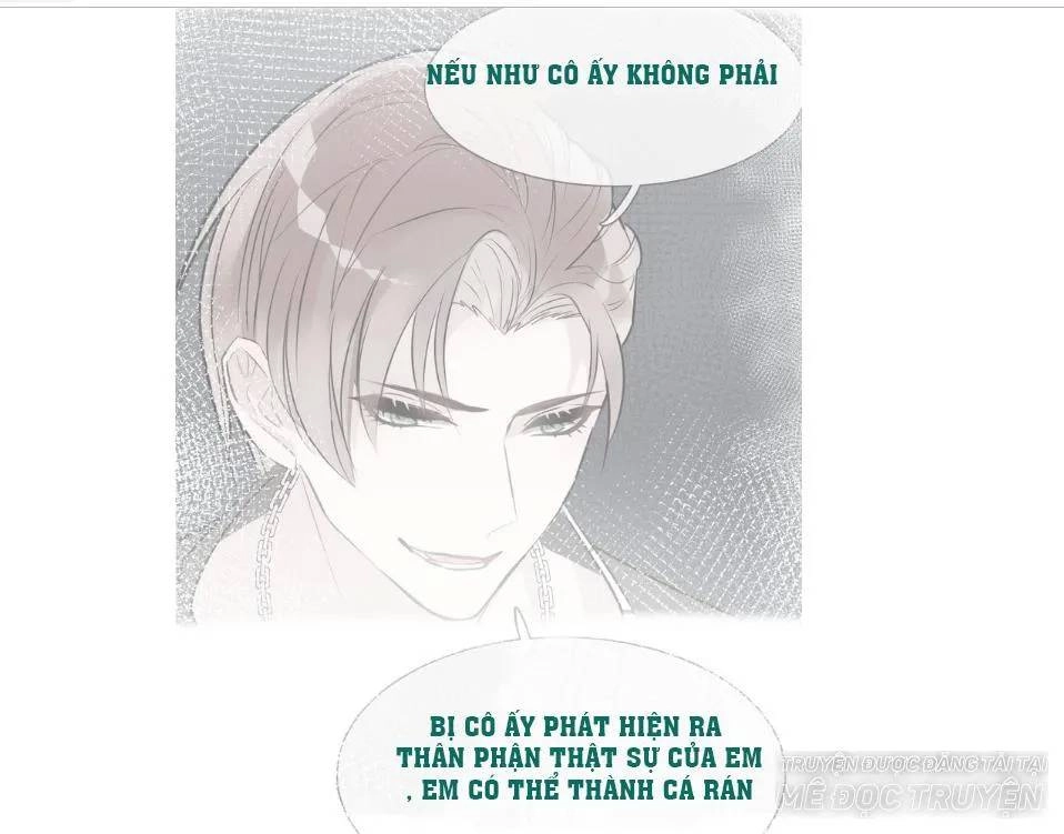 Chiếc Váy Của Người Cá Chapter 41 - 11