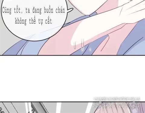 Chiếc Váy Của Người Cá Chapter 45 - 31