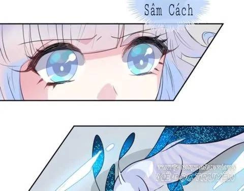 Chiếc Váy Của Người Cá Chapter 45 - 41
