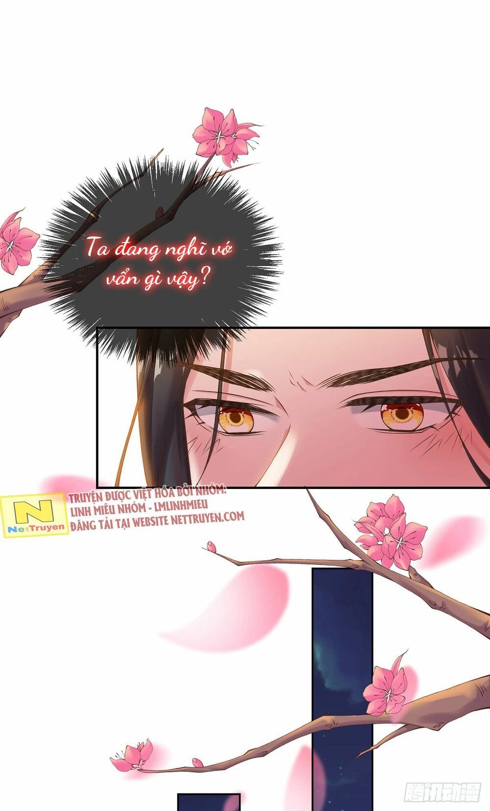 Thị Huyết Y Phi Chapter 10 - 31