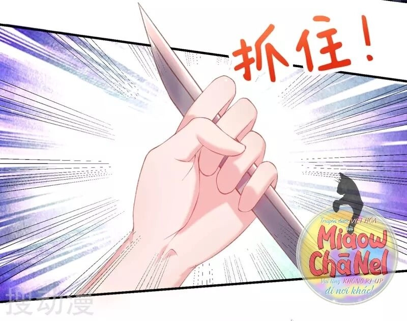 Thị Huyết Y Phi Chapter 35 - 11