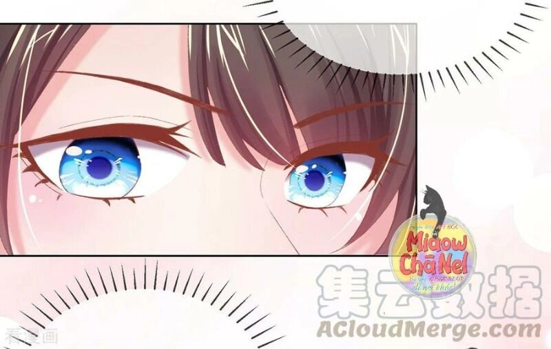 Thị Huyết Y Phi Chapter 37 - 20