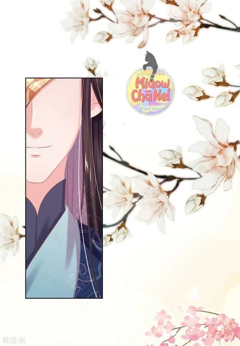 Thị Huyết Y Phi Chapter 37 - 41