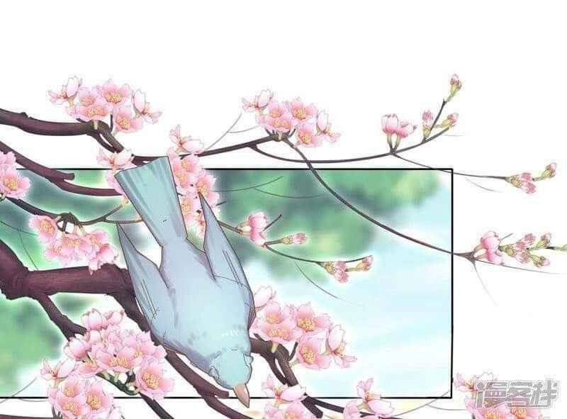 Thị Huyết Y Phi Chapter 41 - 15