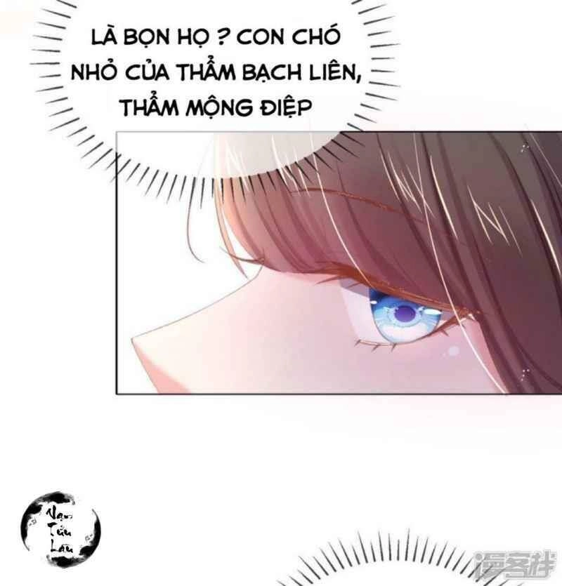 Thị Huyết Y Phi Chapter 41 - 47