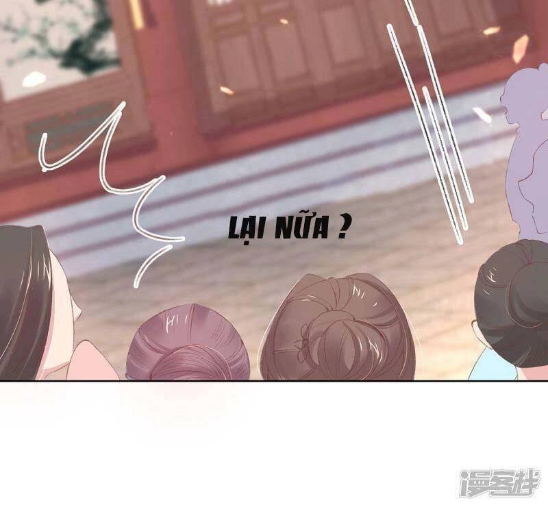 Thị Huyết Y Phi Chapter 43 - 17