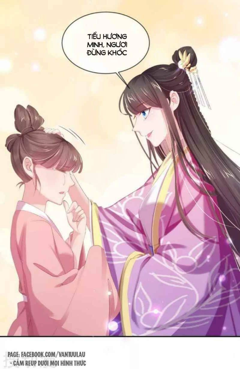 Thị Huyết Y Phi Chapter 45 - 7