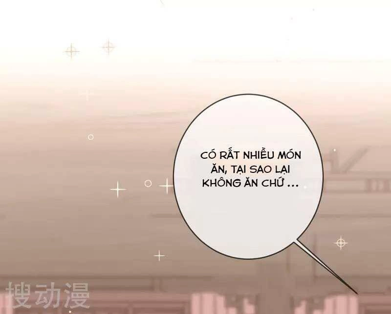 Thị Huyết Y Phi Chapter 46 - 5