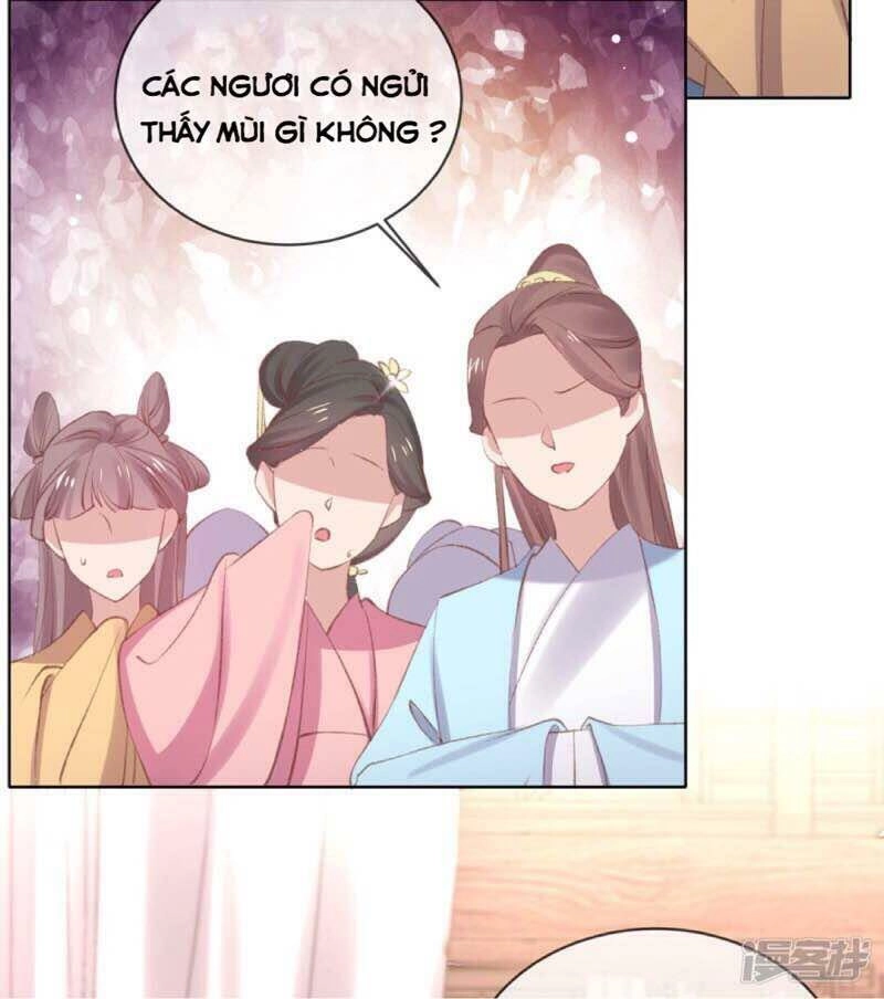 Thị Huyết Y Phi Chapter 47 - 5